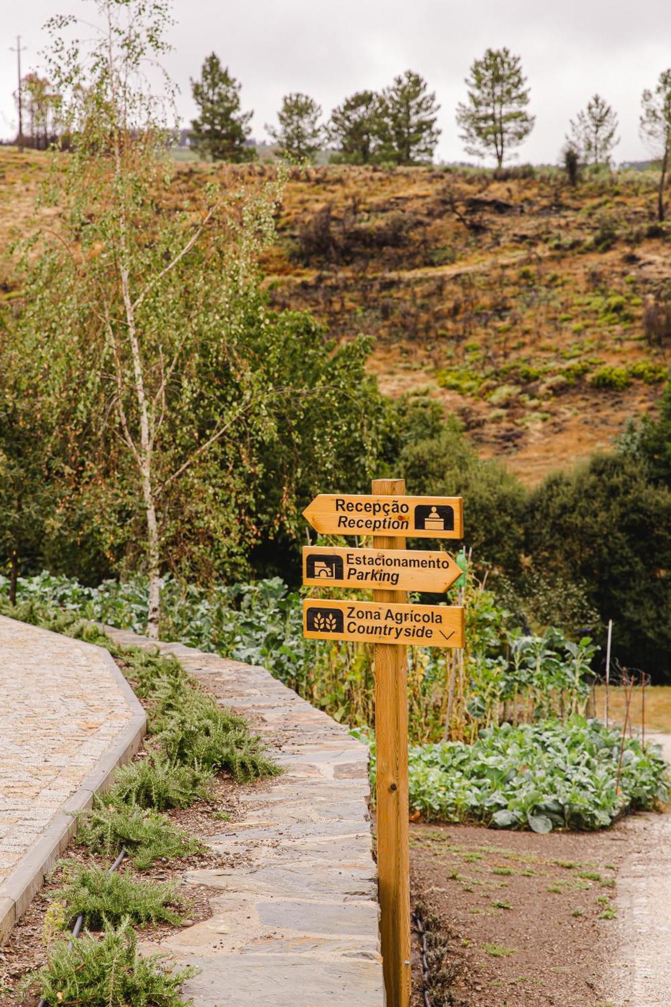 Apartament Terrasense Mountain Charm Retreat & Farm Videmonte Zewnętrze zdjęcie