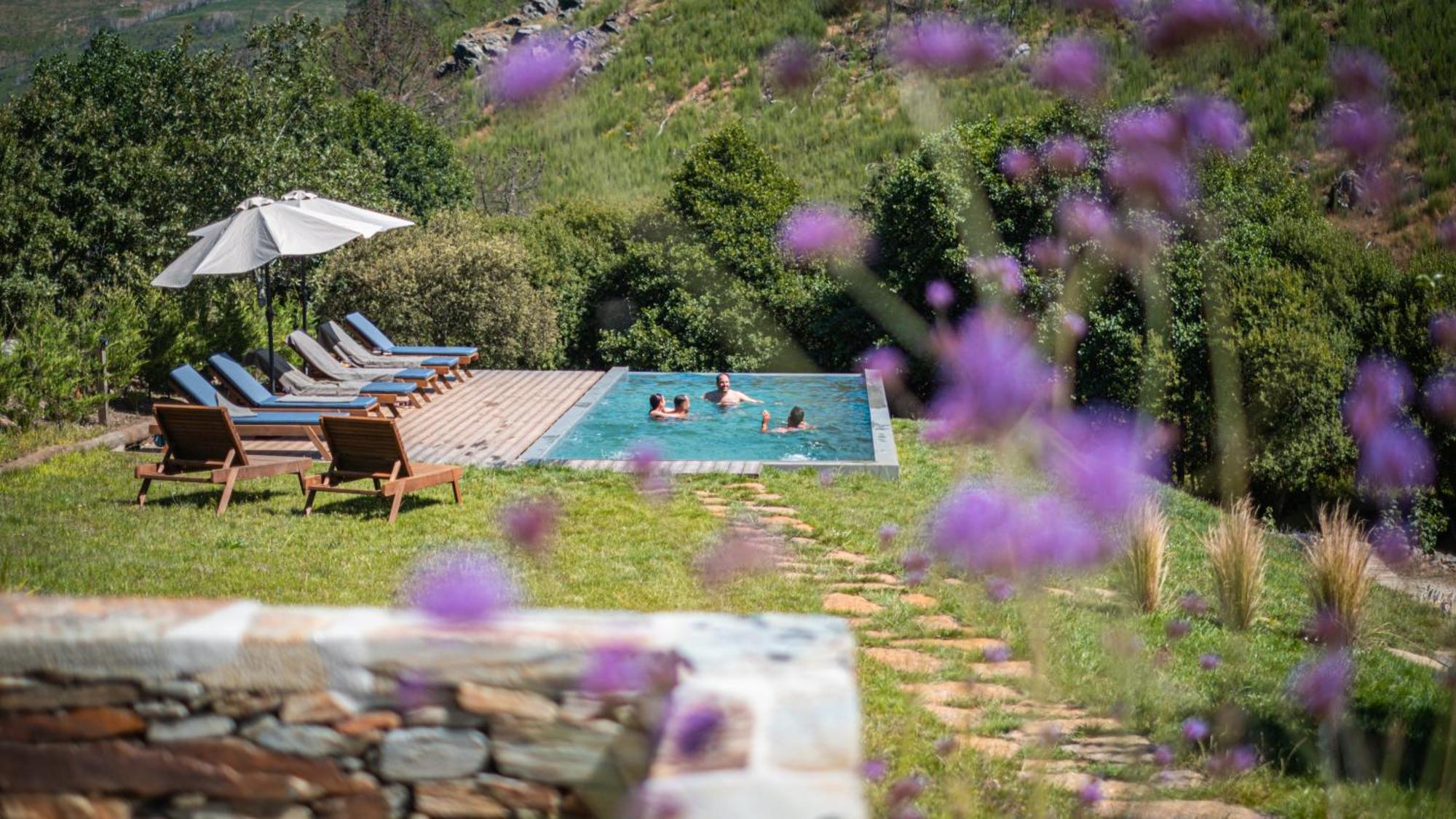 Apartament Terrasense Mountain Charm Retreat & Farm Videmonte Zewnętrze zdjęcie