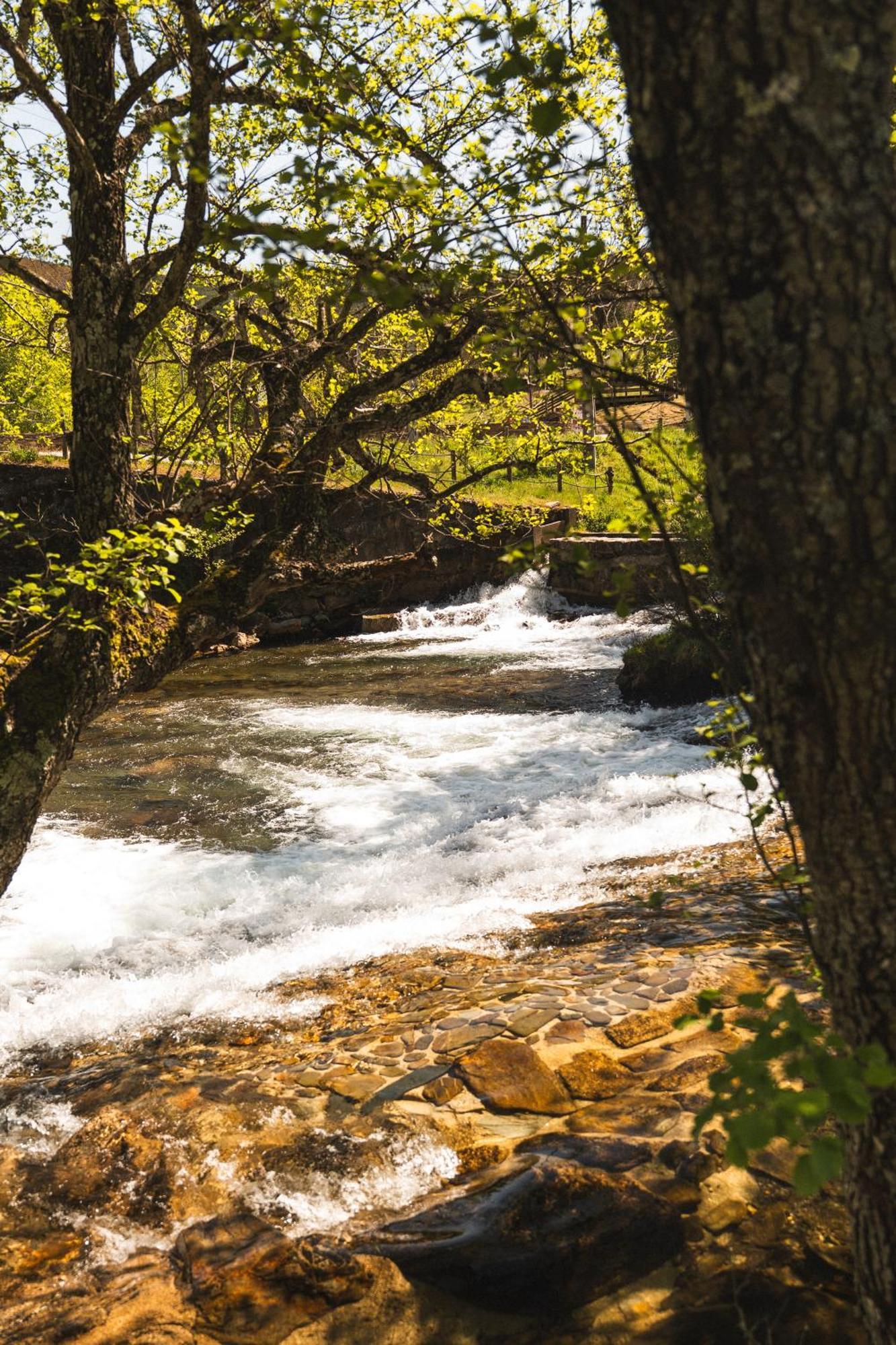 Apartament Terrasense Mountain Charm Retreat & Farm Videmonte Zewnętrze zdjęcie